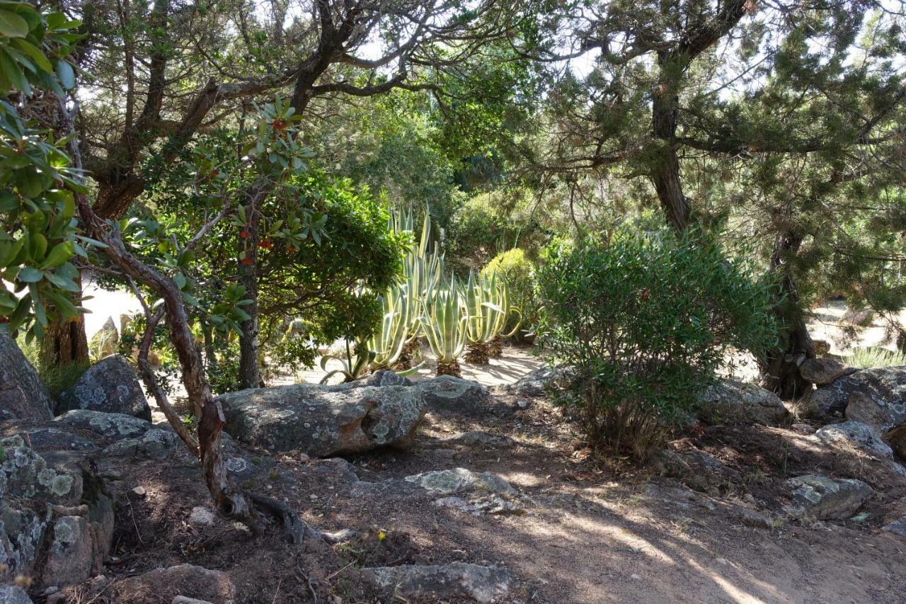 Domaine De La Punta Hébergement de vacances *